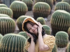 -南山植物园