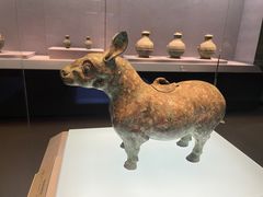 -石饮红星包子(中山路店)