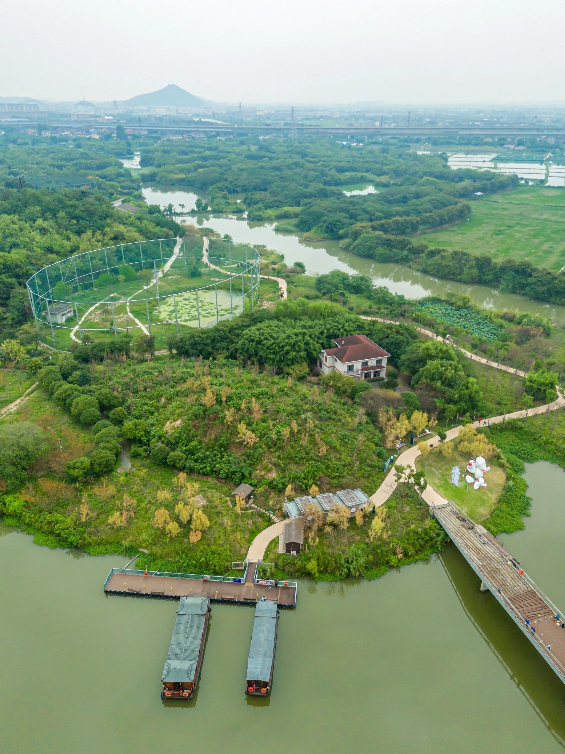 洞林湖湿地公园图片