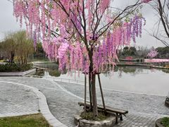 -上海杨姆庄园