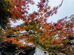 -溪口商量岗景区