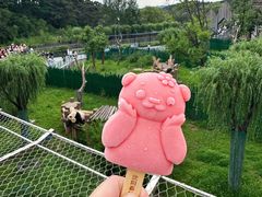 -沈阳森林动物园