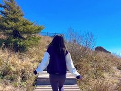 -白草畔自然风景区