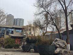 -文瀛公园
