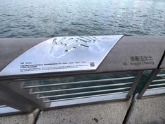-星光大道