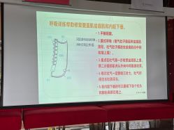 -妈咪呗呗月子中心(市心店)