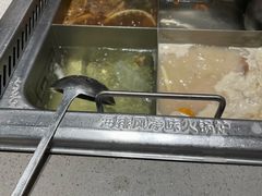 -海底捞火锅(河东万达广场店)