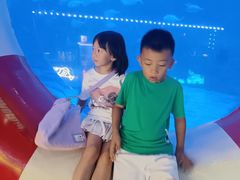 -烟台海昌鲸鲨海洋公园