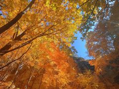 -五女峰国家森林公园