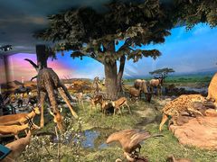 -国家自然博物馆