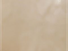 -浙江安吉JW万豪酒店·万豪中餐厅