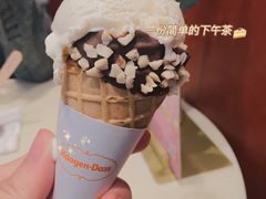 冰淇淋单球-哈根达斯(朝阳大悦城店)