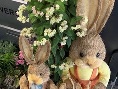 -FEI FEI FLOWER鲜花店·气球派对·宝宝宴布置(虹口德必运动Loft店)