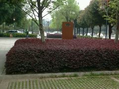 -惠州西湖丰渚园