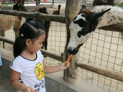 -西安秦岭野生动物园