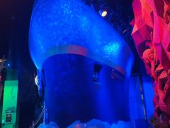 -珠海横琴国家地理探险家中心(创新方)