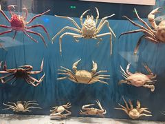 -贝林大翅鲸简餐厅(国家海洋博物馆店)