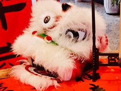 -禧宴Joyous Restaurant(禧园店)