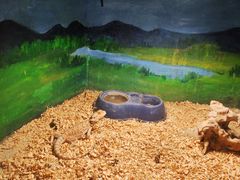 -泉城欧乐堡海洋极地世界