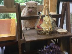 -咖法森林·咖啡  酒吧(天河店)