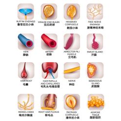 -Oasis Beauty水磨坊科技美肤中心