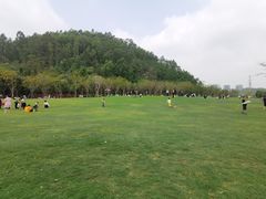 -顺峰山公园