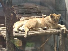 -西安秦岭野生动物园