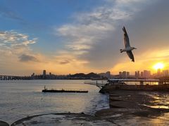 -星海广场