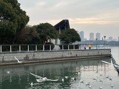 -蠡湖大桥公园