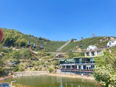 -长沙黑麋峰国家森林公园