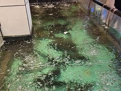 -鱼痴渔醉·食鲜集(月亮湾店)