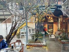 -喵屿·大理花园猫咖