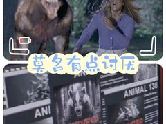 -中影国际影城(西溪印象城CINITYLED店)