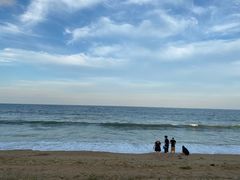 -日照海滨国家森林公园