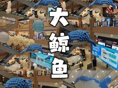 -坂田天虹