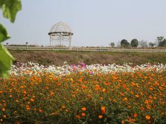-紫颐香薰山谷景区