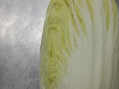 -花家怡园(四合院总店)
