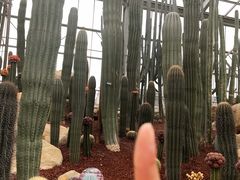 -南通洲际绿博园