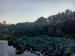 -静之湖湖畔餐厅