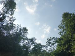 -火炉山森林公园