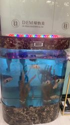 -DEM缔怡美科技美容