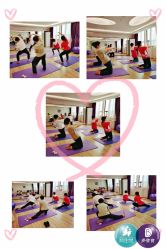 -海豚湾高端月子会所(黄浦店)