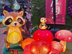 -正佳雨林生态植物园