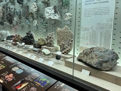 -浙江自然博物院(杭州馆)