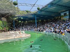 -广州长隆飞鸟乐园