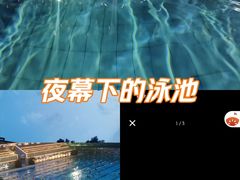 -朱毅育龙游泳俱乐部