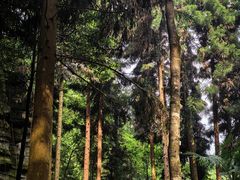 -梭布垭石林景区