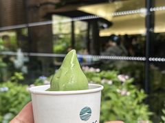 -雪绿茶博物馆