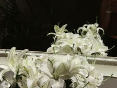 -山茶云南菜(永安里店)