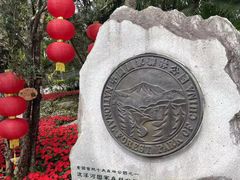 -广州市流溪河国家森林公园